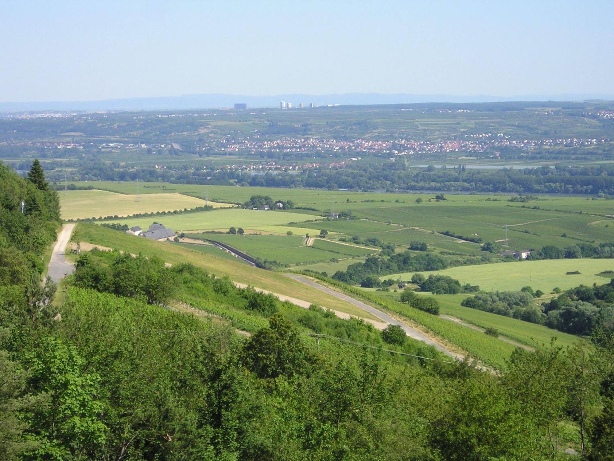 Zum Rebhang Bed & Breakfast Oestrich-Winkel Eksteriør billede